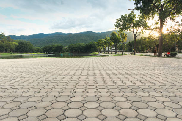 Professional Driveway Pavers in Mount Olive, MS