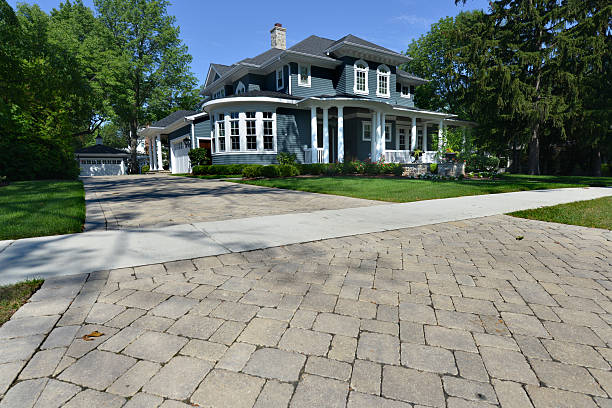 Best Driveway Paving Near Me  in Mount Olive, MS