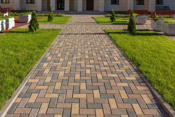 Best Driveway Repair Near Me  in Mount Olive, MS